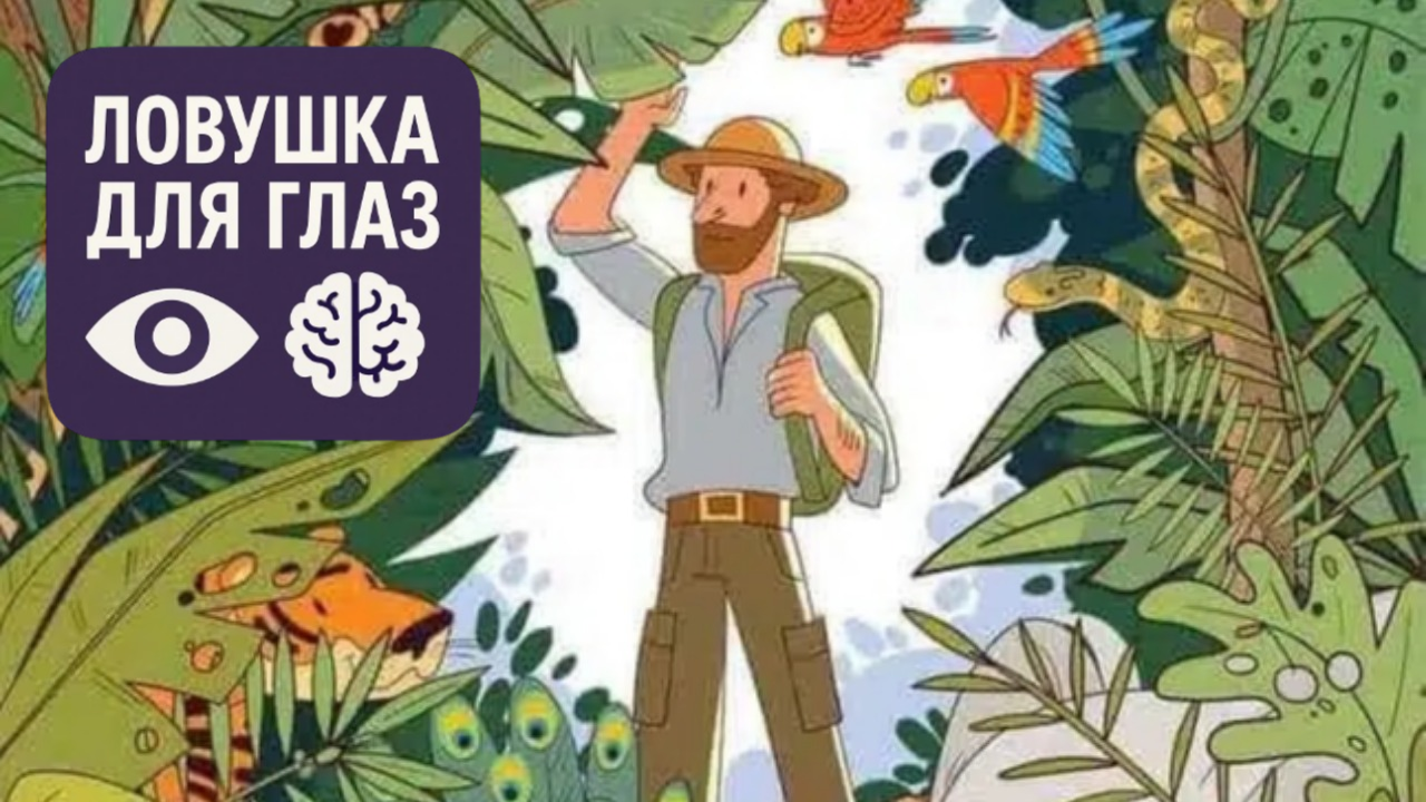 Ловушка для глаз: только самые внимательные смогут найти пингвина среди джунглей