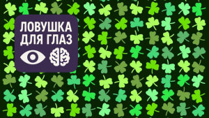 Оптическая головоломка с множеством зелёных трёхлистных клеверов, среди которых спрятан один редкий четырёхлистный клевер — визуальный тест на внимательность.