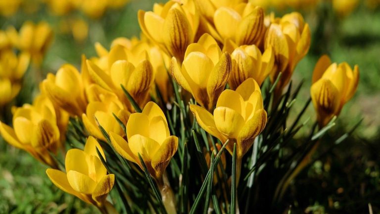 Весна вступает в свои права: 9 марта воздух прогреется до +15 градусов