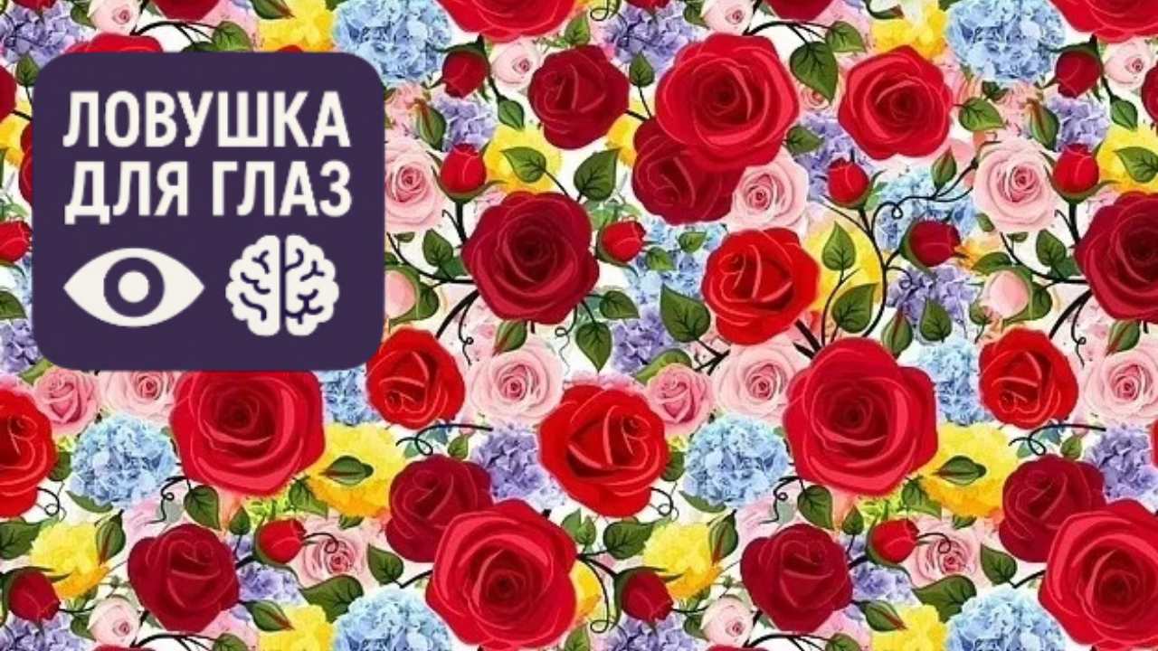 Оптическая головоломка: среди множества красных роз и разноцветных цветов спрятана одна белая лилия - попробуйте найти её как можно быстрее.
