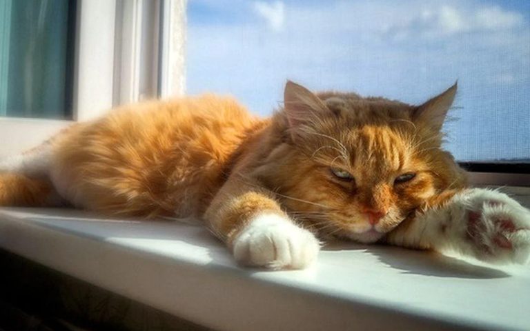 Весна начинает радовать: в понедельник в Латвии будет солнечно и до +13°C