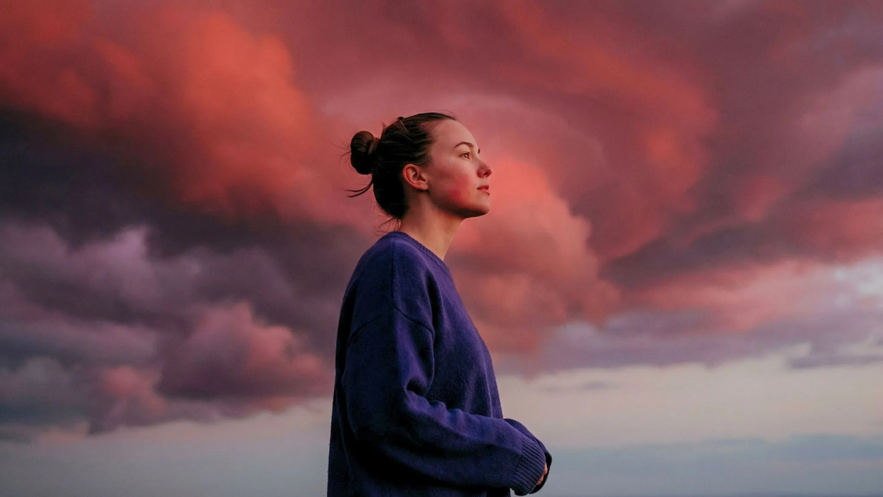 LTAB призывает покупателей подержанных автомобилей проверять историю ДТП