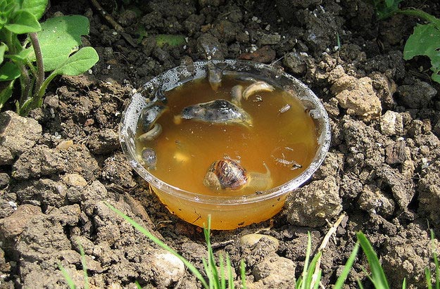 В субботу в Латвии в автоавариях погибли три человека