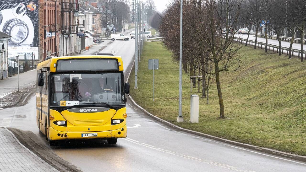 Взлет цен на топливо: перевозчики могут прекратить услуги, если не будут решены проблемы