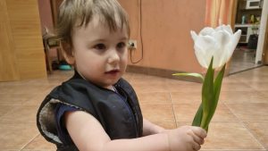 Весна вступает в свои права: 9 марта воздух прогреется до +15 градусов