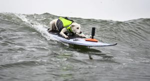 Дом в Лигурии за 1 евро: в Италии расширяют программу продажи жилья за символическую цену