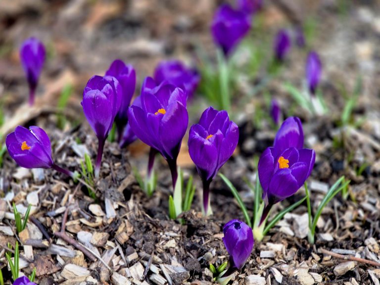 Солнце вернётся, но не везде: где в Латвии сохранится холод и туман