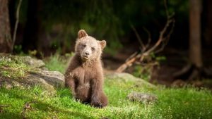 До -4 ночью и до +11 днём: синоптики рассказали о погоде в пятницу