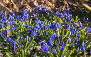 Март 2026 года стал самым дорогим месяцем для латвийских водителей за долгое время