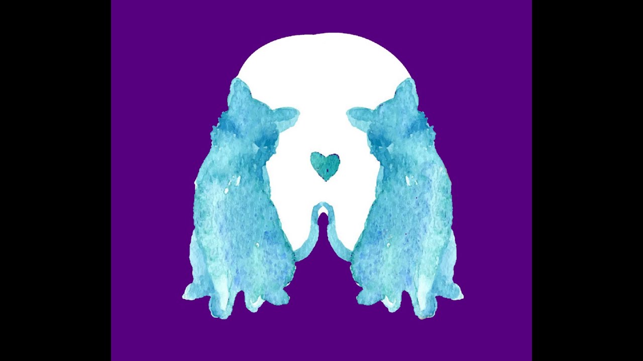 Оптическая иллюзия: изображение, в котором можно увидеть двух кошек или морду собаки