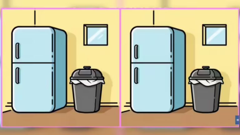 Оба холодильника выглядят одинаково, но, если вы умны, вы найдете различия между картинками!!