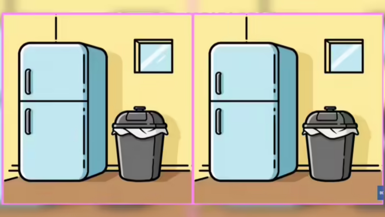 Оба холодильника выглядят одинаково, но, если вы умны, вы найдете различия между картинками!!