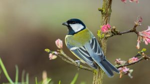 Врачи объяснили правила безопасного пасхального стола для тех кто соблюдал Великий пост