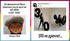 Тихая сенсация: добрый фильм c Бренданом Фрейзером открывает Японию с неожиданной стороны