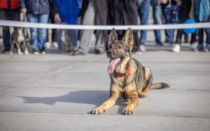 После развода: Бен Аффлек подарил Дженнифер Лопес дом за 60 млн долларов