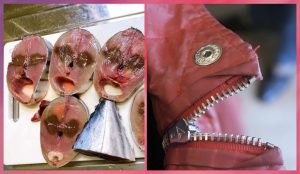 Водолеи, Тельцы, Козероги и Скорпионы в гороскопе Анжелы Перл на среду 15 апреля