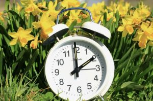 В Эстонии служебная собака Стеффи спасла потерявшуюся в лесу женщину