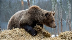 Европейские аэропорты не справились с внедрением биометрического контроля и заставляют пассажиров ждать проверки по три часа