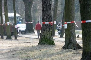 На маршруте Рига–Вентспилс появятся новые автобусные рейсы: кто заменит Ecolines