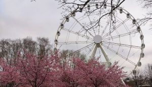 На маршруте Рига–Вентспилс появятся новые автобусные рейсы: кто заменит Ecolines