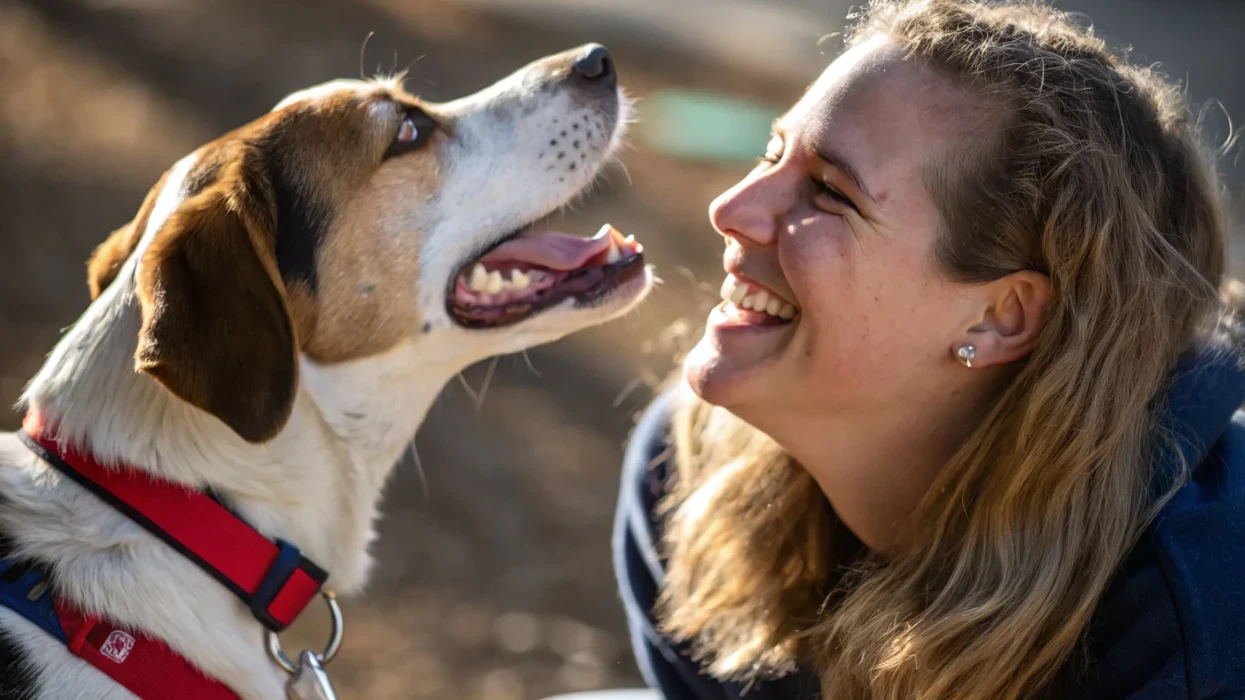Человек улыбается своей собаке, а она смотрит на него - момент доверия и эмоциональной связи между питомцем и хозяином