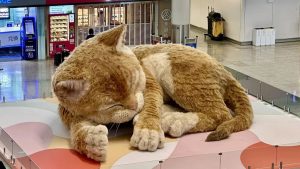 «Ты мой бог»: премьер-министр Японии встретилась со своими кумирами Deep Purple