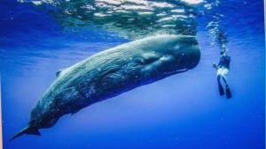 Удача на миллион: парижский инженер выиграл в лотерею картину Пикассо