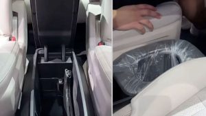 Они общаются почти как мы: учёные расшифровывают язык кашалотов