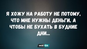 Выбор кактуса укажет на ваш главный недостаток: психологический тест поможет встать на верный путь