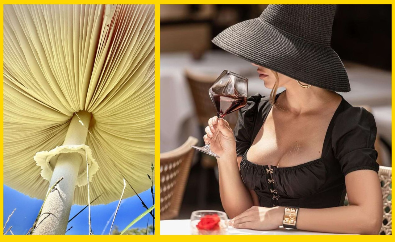 Шедевры без ретуши: когда талант обычного человека затмевает работу целой студии