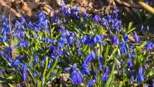 Latvenergo построит ветропарк с гигантскими турбинами высотой до 285 метров