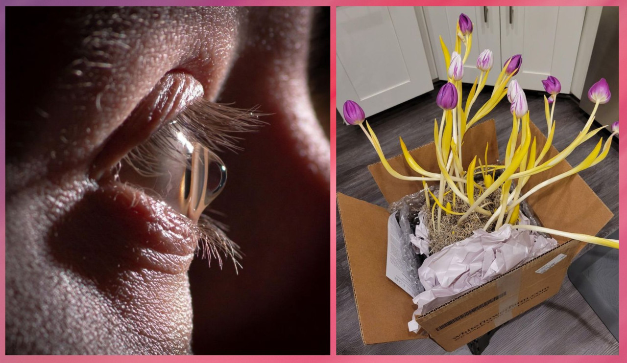 16 фотографий о том как меняется мир если смотреть на него внимательнее