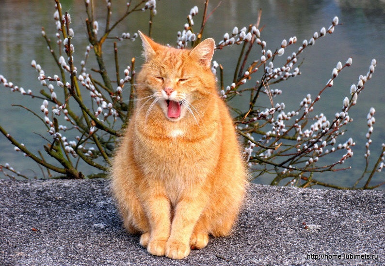 Солнечные выходные в Латвии сменятся резким похолоданием и сильным ветром