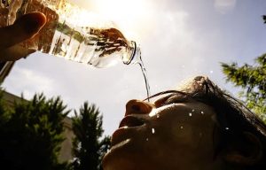 Пчела сорвала авиарейс в Австрии: самолёт остановили на скорости 150 км/ч