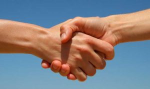 Ловушка для глаз: попробуйте найти обезьяну - и не сдавайтесь слишком быстро