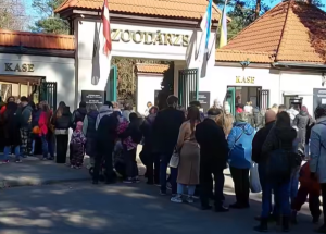 «Зеленая лампа»: у 9-летнего Динара - аутизм. Мама просит помощи для оплаты курса АВА-терапии