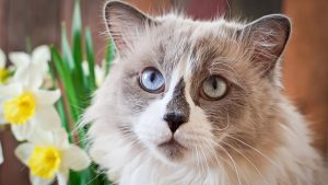 В лесах Латвии начинается пожароопасный период