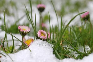 Грамотные действия персонала Moller помогли избежать крупного ущерба при возгорании в автосервисе