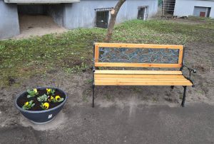 Стоматология для избранных: почему лечение зубов превратилось в финансовую кабалу