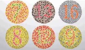 Оптическая иллюзия с числами 7, 13, 16, 8, 12 и 9, в которой нужно увидеть первое число