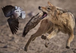 Far Out назвал 10 эротических триллеров, которые сегодня вряд ли сняли бы в Голливуде