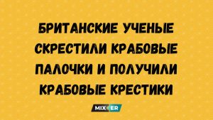 Юмор на вечер 22 апреля и IQ, как погода