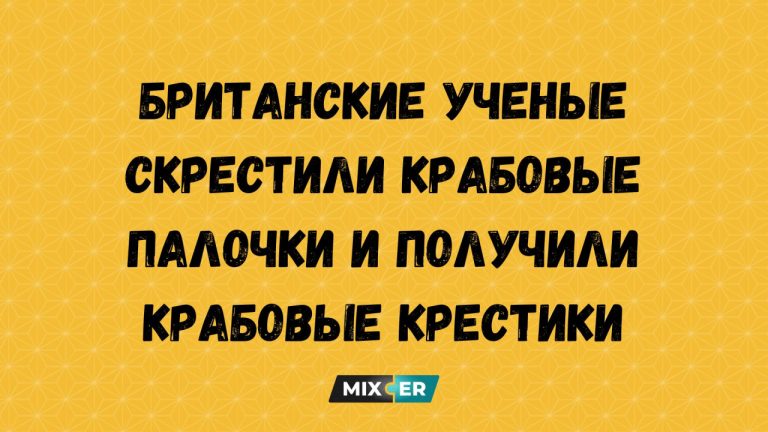 Смешные картинки на утро 23 апреля и крабовые палочки