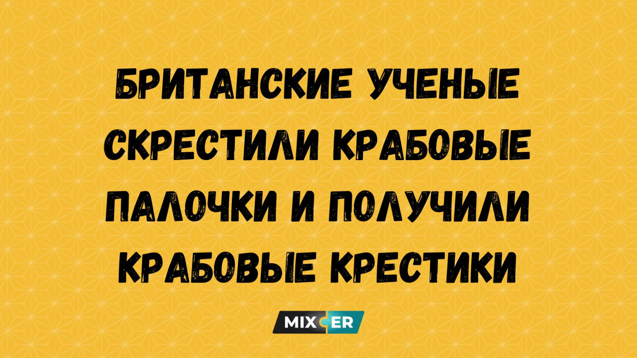 Вред от курения на примере близнецов
