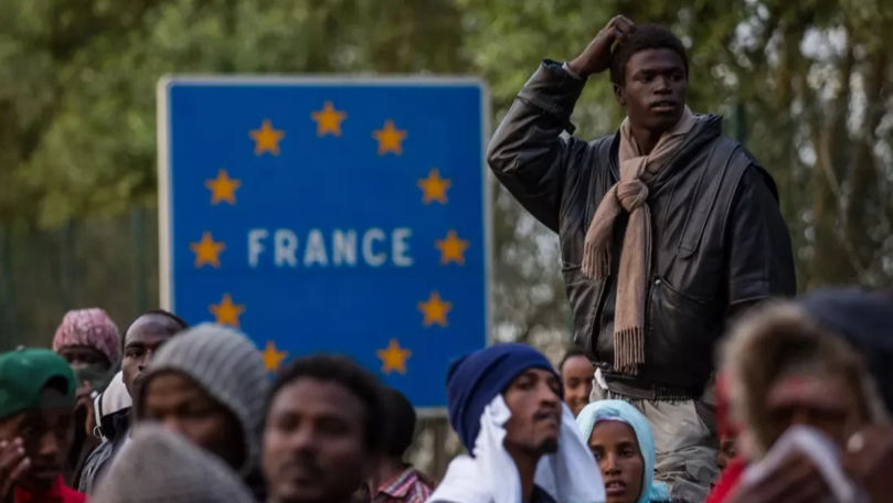 Число мигрантов в Евросоюзе обновило исторический максимум и превысило 64 миллиона человек