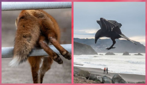 Психолог раскрыла фразу, которая мгновенно обезоруживает пассивно-агрессивных людей