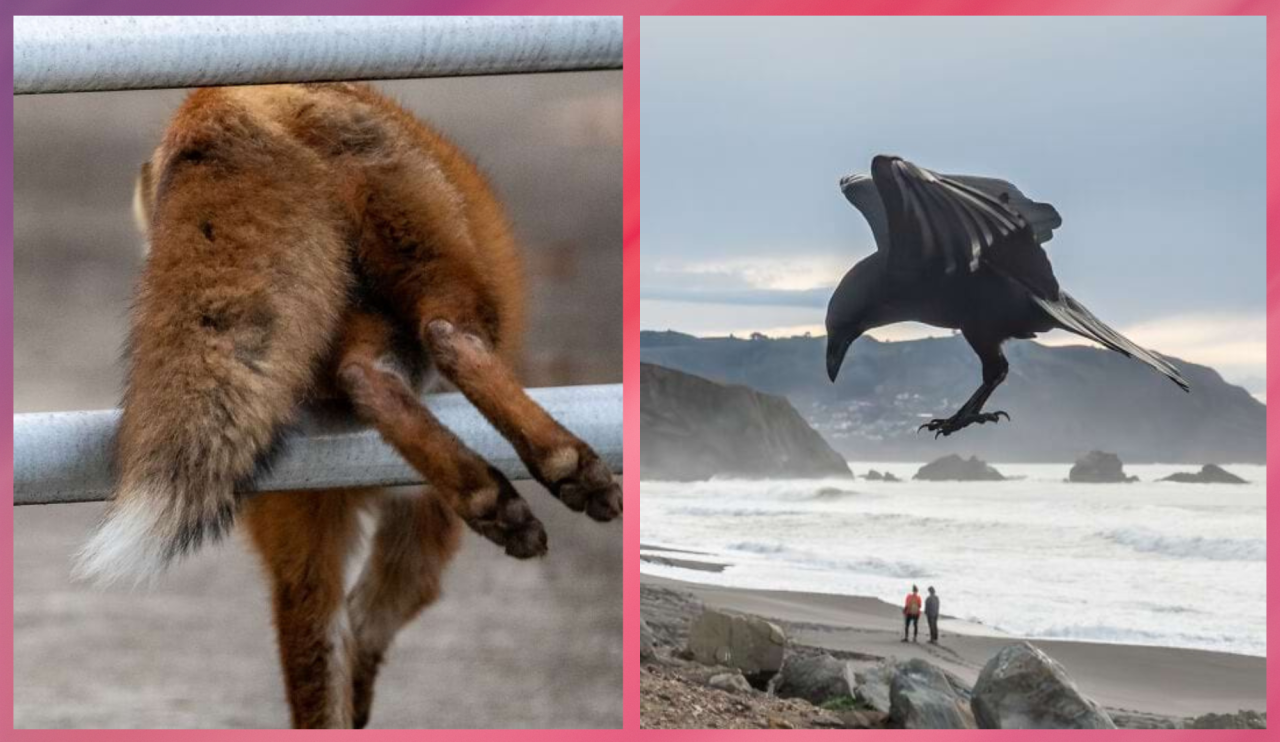 10 жестких правил, которые должна помнить каждая современная женщина, чтобы быть сильной