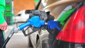 Юрмала приглашает на ярмарку вакансий: доступно более 100 предложений на лето и постоянную работу