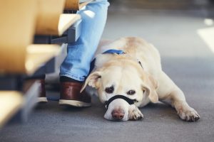 Турция запретит доступ к соцсетям детям до 15 лет - парламент одобрил законопроект