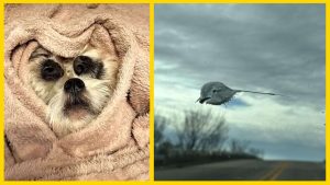 Этот тест покажет, почему вы выбираете «не тех» людей